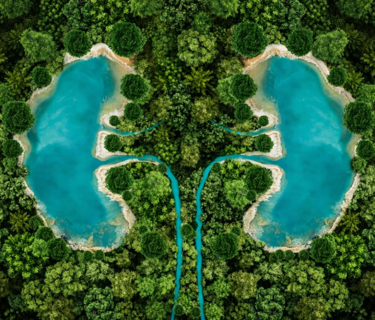 World Kidney Day World Kidney Day awareness Kidney health awareness Kidney disease awareness campaign Kidney care awareness Protect your kidneys Kidney health matters Early detection of kidney disease Kidney disease prevention Global kidney awareness Kidney health check awareness Healthy kidneys campaign Kidney disease education Importance of kidney health Prevent kidney failure Kidney disease treatment Chronic kidney disease treatment Kidney failure treatment Best kidney specialist Kidney care hospital Kidney health checkup Dialysis treatment Kidney transplant consultation Urology specialist consultation Nephrology treatment center Kidney stone treatment Advanced kidney care Kidney disease diagnosis Kidney infection treatment Prevent kidney disease Kidney hospital in Surat Best kidney hospital in Surat Kidney specialist in Surat Kidney stone treatment Surat Dialysis center in Surat Urologist in Surat Prostate treatment in Surat Kidney care hospital Surat Nephrologist in Surat Advanced kidney treatment in Surat Kidney disease doctor Surat Urology hospital Surat Robotic kidney surgery Surat Prostate treatment hospital Enlarged prostate treatment Prostate specialist doctor Prostate surgery hospital Prostate cancer screening Advanced prostate treatment Urology and prostate care Prostate health checkup Laser prostate surgery Best prostate hospital World Kidney Day awareness by Dhameliya Kidney Hospital World Kidney Day campaign Surat Kidney health awareness Surat hospital Best kidney hospital in Surat Dhameliya Kidney disease awareness by Dhameliya Kidney Hospital Kidney health checkup Surat Kidney care awareness campaign India World Kidney Day hospital awareness program Dhameliya Kidney Hospital Dhameliya Kidney Hospital Surat Dhameliya Kidney & Prostate Hospital Dhameliya Kidney Hospital kidney specialist Dhameliya Hospital kidney treatment Dhameliya Kidney Hospital dialysis center Dhameliya Kidney Hospital urology care Best kidney hospital Dhameliya Dhameliya kidney care center